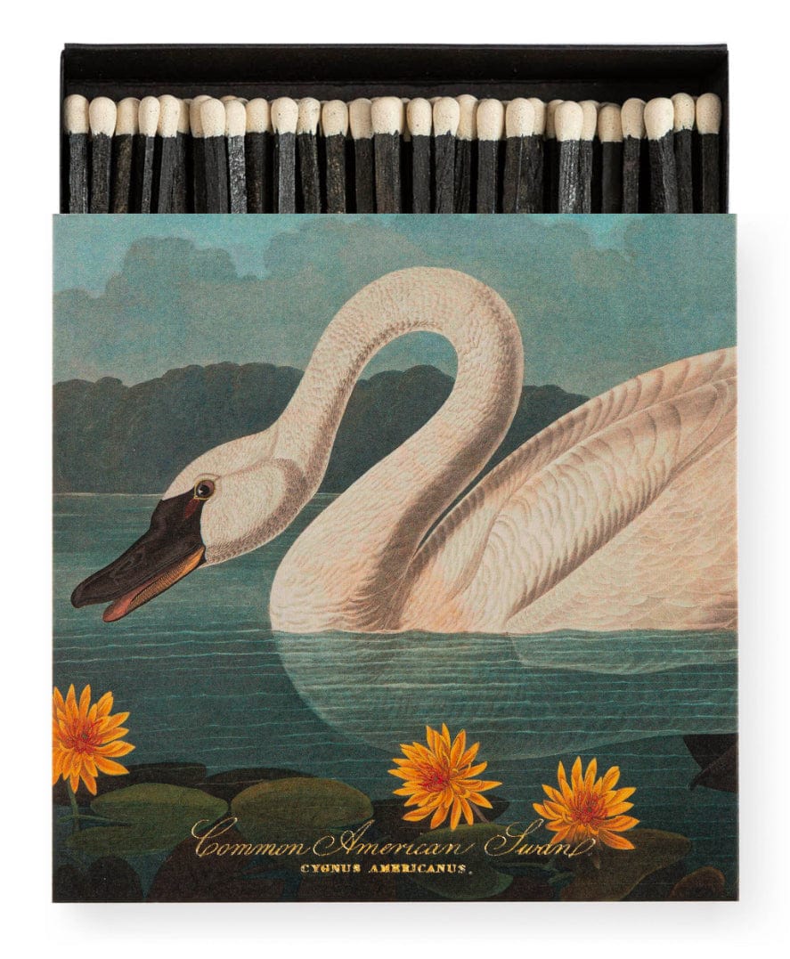 Archivist - Decor - Swan by Audubon - Cecil and Gunn