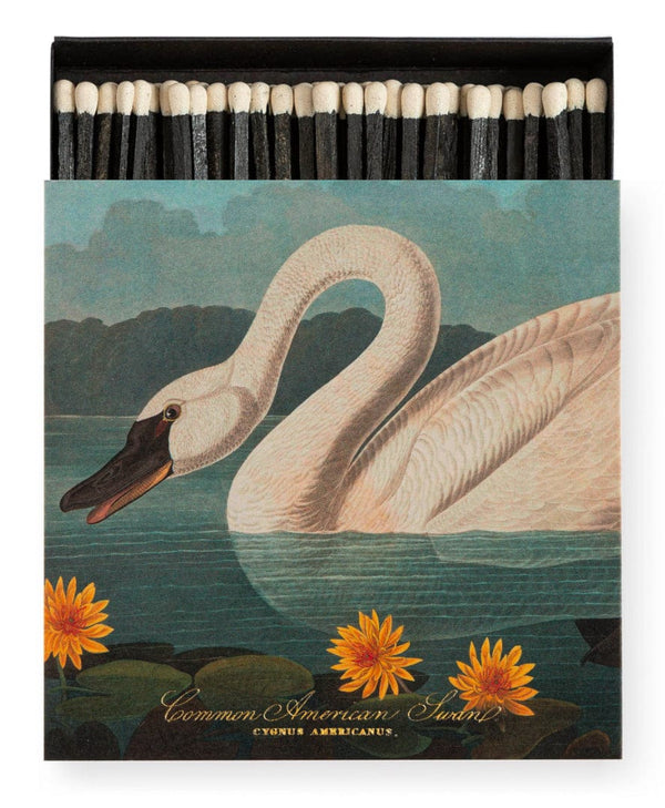 Archivist - Decor - Swan by Audubon - Cecil and Gunn