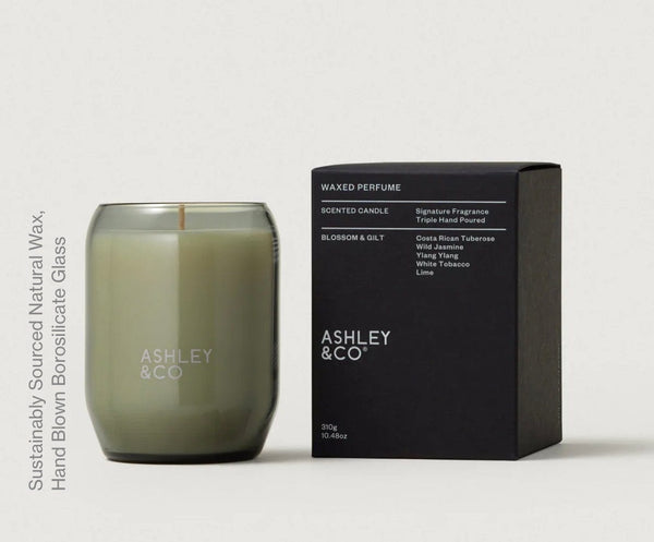 Ashley and Co - Fragrance - Ashley & Co Scented Candle - Cecil and Gunn