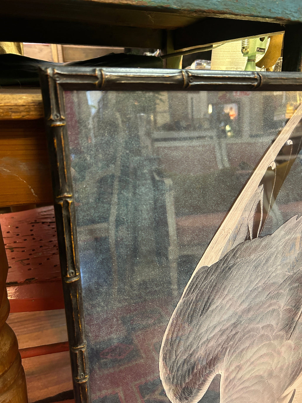 Cecil & Gunn Collections - Decor - Audobon Birds framed Poster - Cecil and Gunn