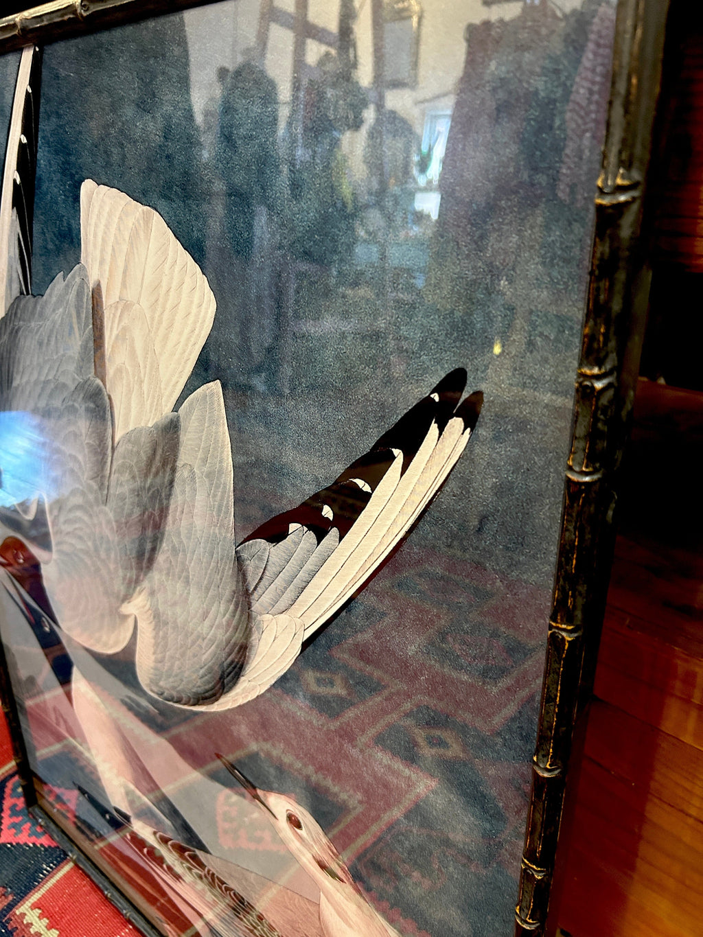 Cecil & Gunn Collections - Decor - Audobon Birds framed Poster - Cecil and Gunn