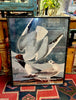 Cecil & Gunn Collections - Decor - Audobon Birds framed Poster - Cecil and Gunn