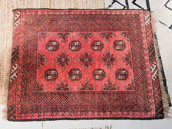 Cecil & Gunn Collections - Decor - Persian Rug - Cecil and Gunn