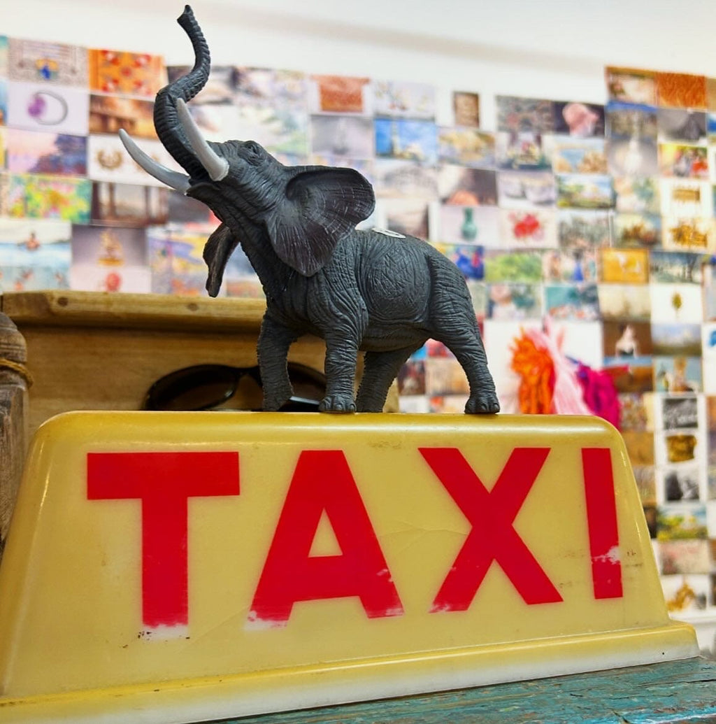 Cecil & Gunn Collections - Decor - TAXI - Cecil and Gunn