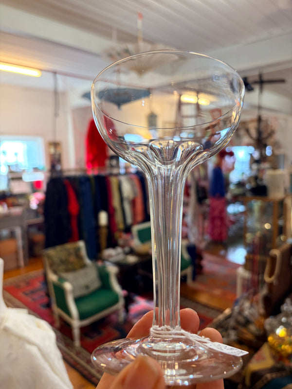Cecil & Gunn Collections - Kitchen - Champagne Coupe Glasses - Cecil and Gunn