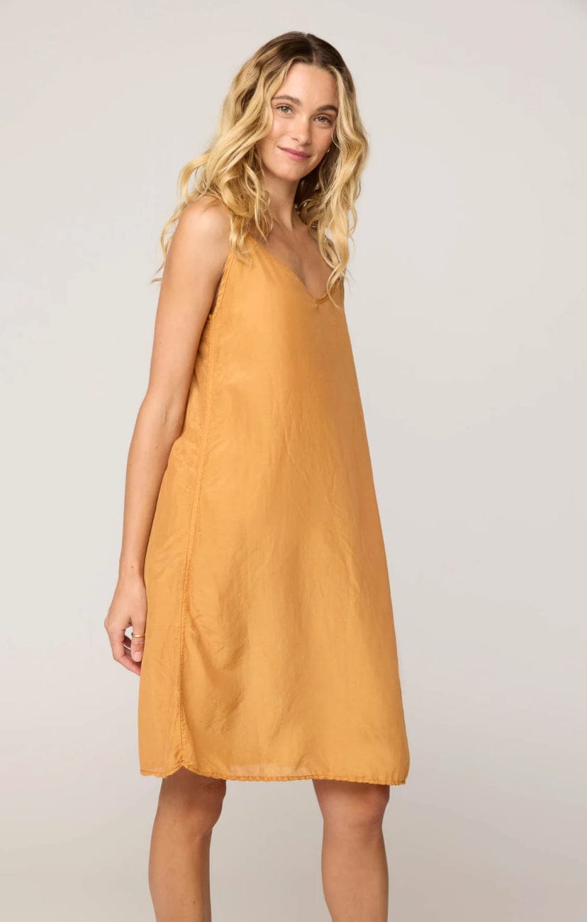 Primness - Dress - Canne Slip - Cecil and Gunn