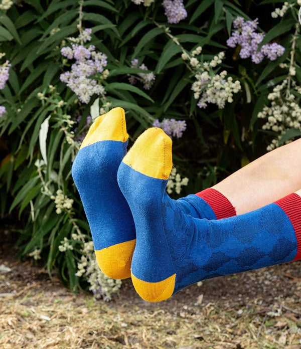 Tightology - Socks - Odeon Socks - Cecil and Gunn