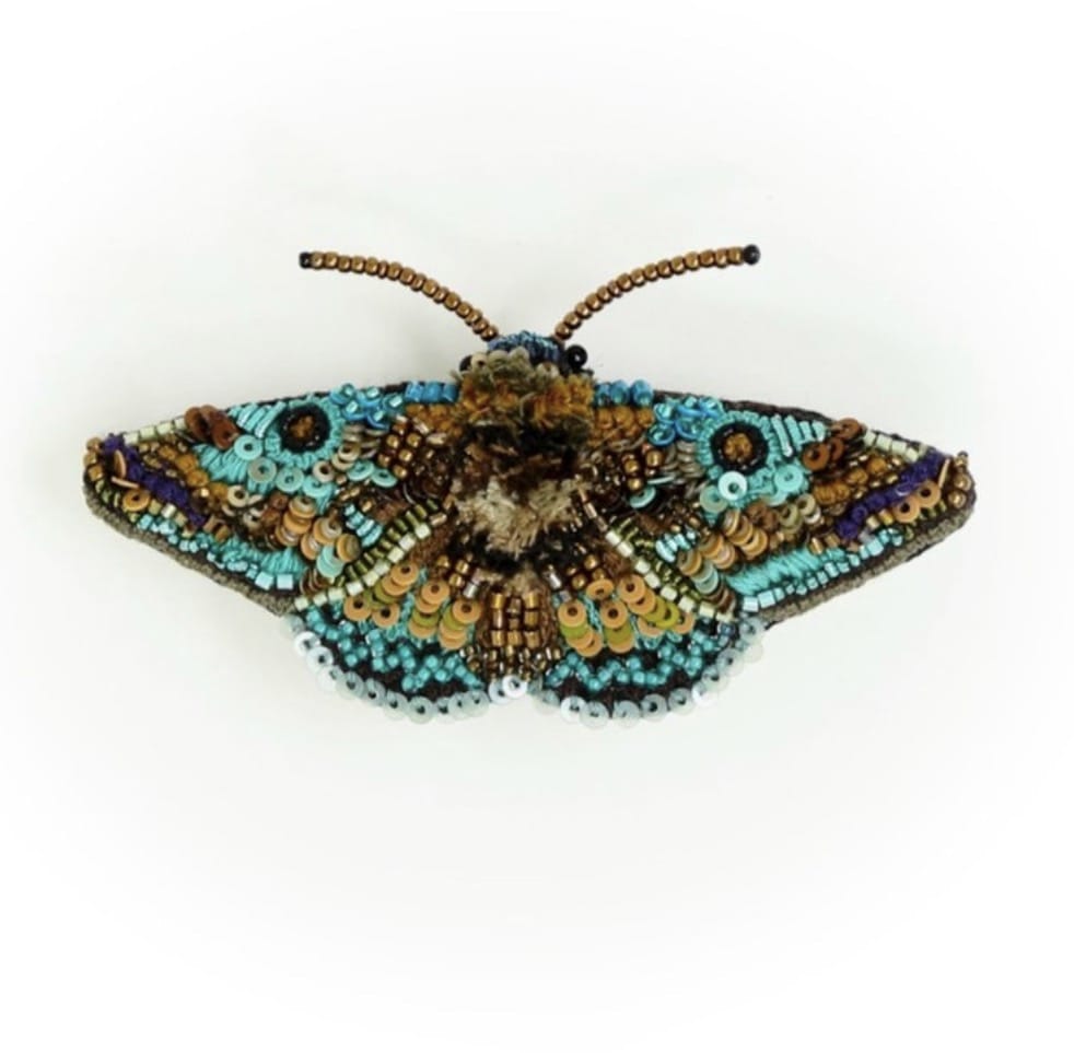 Trovelore - Brooch - Lanipes Moth - Cecil and Gunn