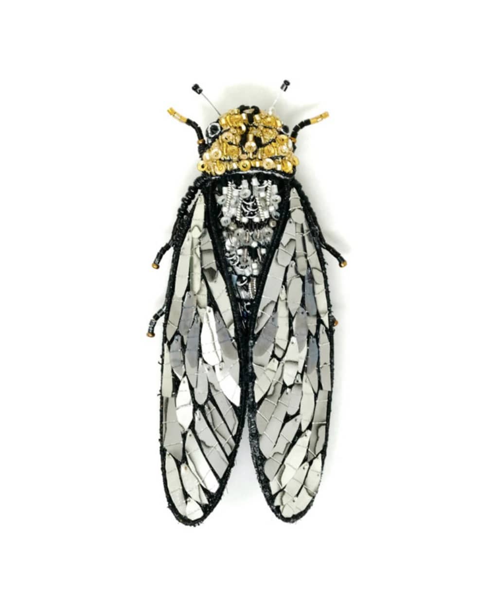Trovelore - Brooch - Walkers Cicada - Cecil and Gunn