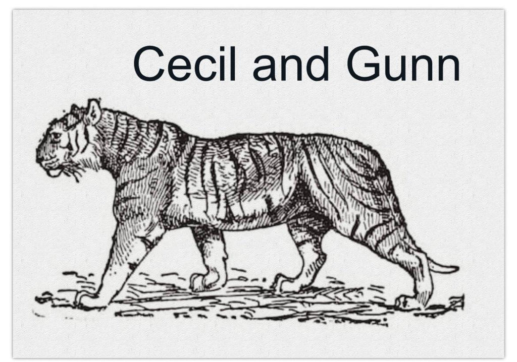 Gift Voucher - Cecil & Gunn Collections