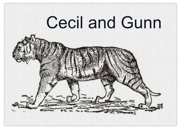 Cecil and Gunn - - Gift Voucher - Cecil and Gunn