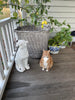 Cecil and Gunn - - Leo - Cecil and Gunn